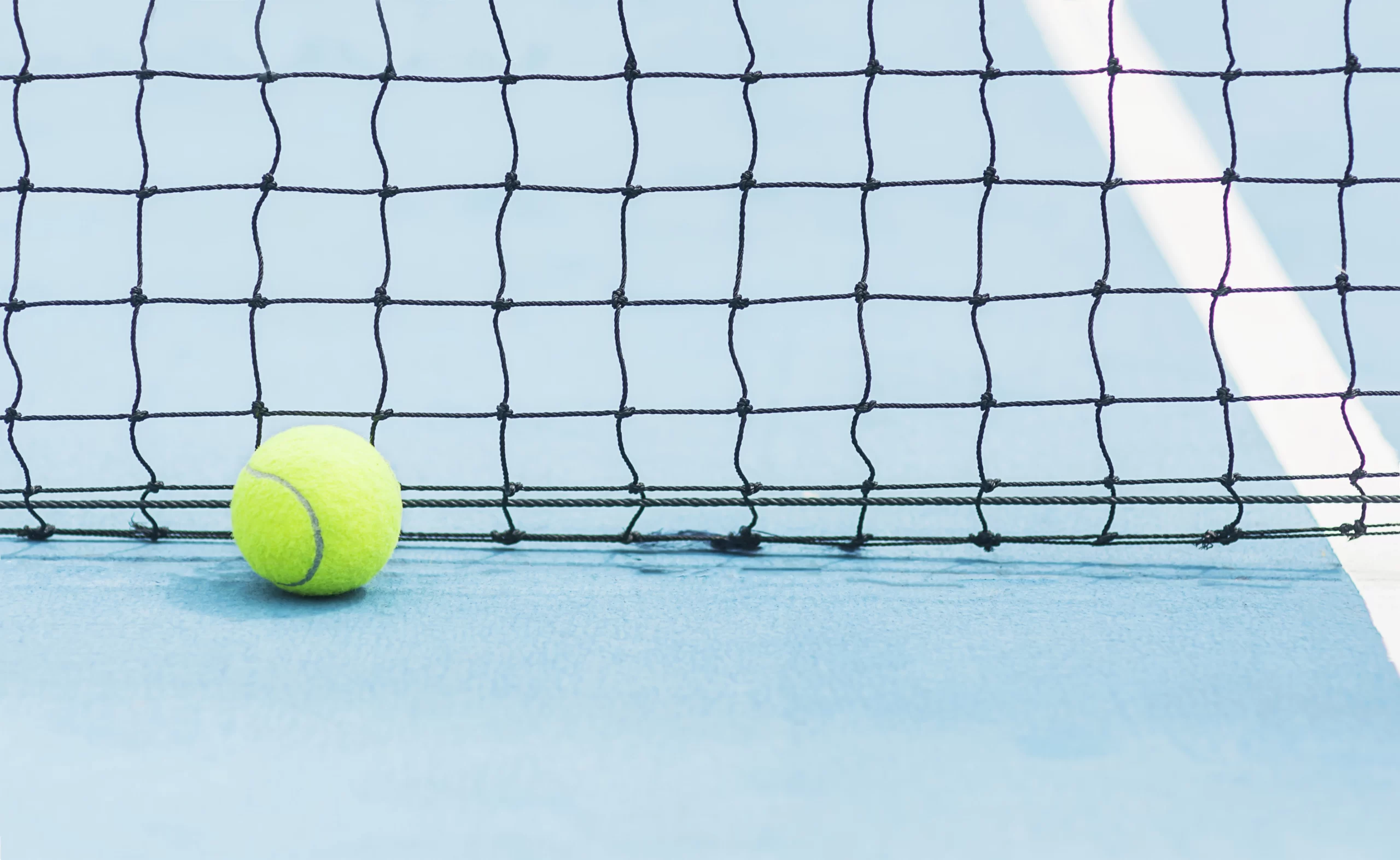 cricket-net
